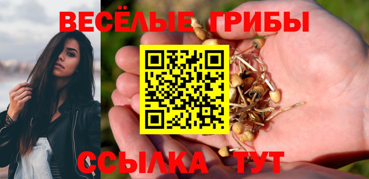Беслан  Псилоцибиновые грибы Psilocybe  Вход с VPN 